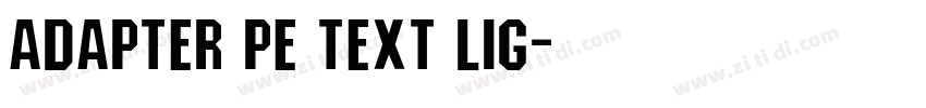 Adapter PE Text Lig字体转换